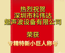 午夜视频福利：荣获深圳市第五批专精特新“小巨人”企业荣誉称号